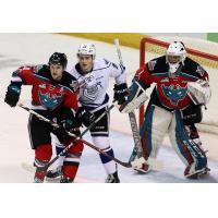 Kelowna Rockets and Victoria Royals in Front of the Kelowna Net
