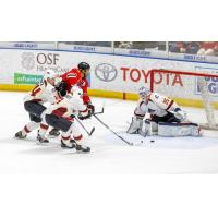 Cleveland Monsters Goaltender Matiss Kivlenieks vs. the Rockford IceHogs