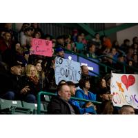 Prince George Cougars Fans