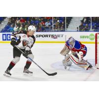 Tyler Popowich of the Vancouver Giants Faces Edmonton Oil Kings Goaltender Josh Dechaine