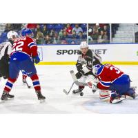 James Malm of the Vancouver Giants Races for a Loose Puck in Front of the Edmonton Oil Kings Goal