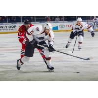 Cleveland Monsters Battle the Rockford IceHogs