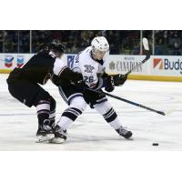 Vancouver Giants Battle the Victoria Royals for the Puck