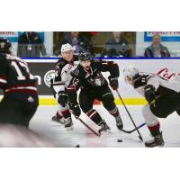 Vancouver Giants vie for the Puck against the Red Deer Rebels