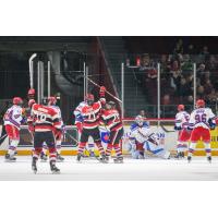 Ottawa 67's celebrate a goal against the Kitchener Rangers