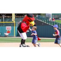 Rochester Red Wings mascot Spikes