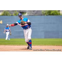 Ottawa Champions pitcher Austin Chrismon