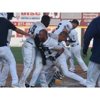 Yovan Gonzalez and the Somerset Patriots celebrate a walk-off win