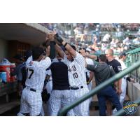 Charleston RiverDogs teammates give shortstop Oswaldo Cabrera high fives