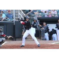 Jackson Generals outfielder Daniel Robertson awaits a pitch