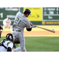 Catcher Mike Blanke with the Long Island Ducks