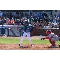 Marten Gasparini of the Lexington Legends at bat