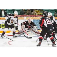 Prince George Cougars vs. the Vancouver Giants