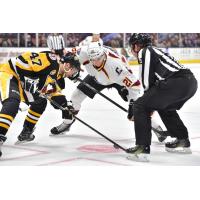 Cleveland Monsters and Wilkes-Barre/Scranton Penguins face off