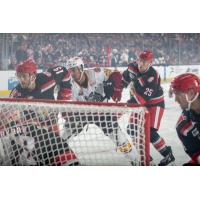 Grand Rapids Griffins attempt to fend off the Chicago Wolves