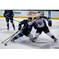 Vancouver Giants LW Owen Hardy reaches for the puck vs. the  Victoria Royals