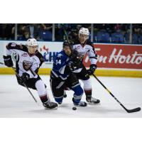 Davis Koch of the Vancouver Giants (left) vies for the puck vs. the Victoria Royals