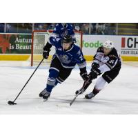 Brayden Watts of the Vancouver Giants (34) reaches for the puck vs. the Victoria Royals