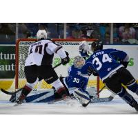 Milos Roman of the Vancouver Giants tests the Victoria Royals defense