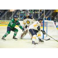Norfolk Admirals defend their goal in shutout win over the Florida Everblades