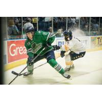 Florida Everblades forward Kyle Platzer chases a puck into the corner vs. the Norfolk Admirals