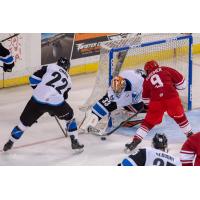 Kevin Sundher of the Allen Americans (9) pressures the Idaho Steelheads