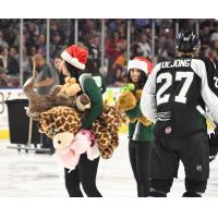Teddy Bear collection at the Utah Grizzlies game