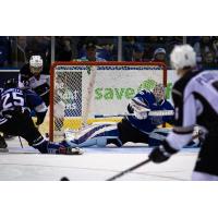 Vancouver Giants center Justin Sourdif works behind the Victoria Royals' goal