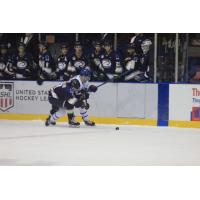 Sioux Falls Stampede vs. the Des Moines Buccaneers