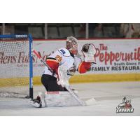 Goaltender Mackenzie Blackwood with the Adirondack Thunder