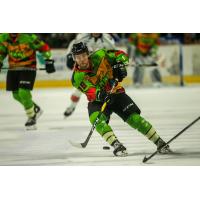 Idaho Steelheads in their Teenage Mutant Ninja Turtles jerseys