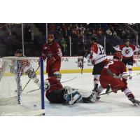 Allen Americans goaltender Casey Pierro-Zabotel against the Cincinnati Cyclones