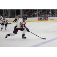 Amarillo Bulls Forward Alex Peterson