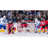 Binghamton Devils goaltender Cam Johnson in the crease against the Toronto Marlies