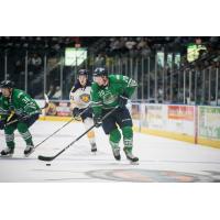 Florida Everblades forward Justin Auger