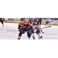 South Carolina Stingrays forward Andrew Cherniwchan (right) battles for position against Greenville Swamp Rabbits defenseman Dan Milan