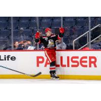 Grand Rapids Griffins celebrate a goal