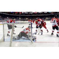 Allen Americans test the Cincinnati Cyclones goaltender