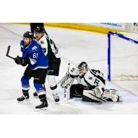 Utah Grizzlies goaltender Kevin Carr readies himself against the Idaho Steelheads