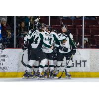 Utah Grizzlies celebrate a goal