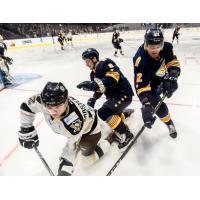 Norfolk Admirals skirmish with the Wheeling Nailers