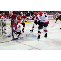 The Allen Americans scores a goal against the Cincinnati Cyclones