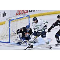 Florida Everblades RW Nathan Perkovich prepares to shoot against the Orlando Solar Bears