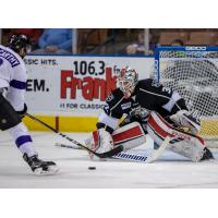 Manchester Monarchs goaltender Chris Driedger prepares to make a save against the Maine Mariners