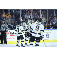 Wheeling Nailers celebrate a goal vs. the Norfolk Admirals