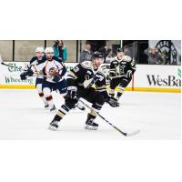 Nick Saracino of the Wheeling Nailers