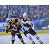 Lehigh Valley Phantoms LW Tyrell Goulbourne (right) vs. the Wilkes-Barre/Scranton Penguins