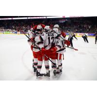 Grand Rapids Griffins celebrate