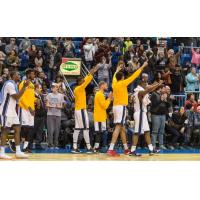 Saint John Riptide celebrate