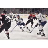 Sioux Falls Stampede vs. the Waterloo Black Hawks